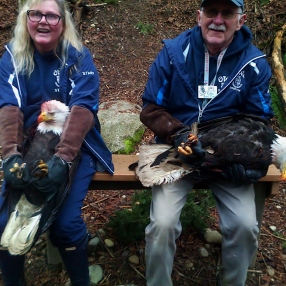 Taking a much needed rest on the hike back.Colin and Mindy were amazing at handling these majestic birds, although Mindy did take a sharp bite to her upper arm!